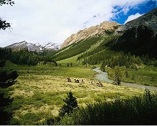 《逃离塔科夫》公布7月硬核新内容 今年预定推出正式版